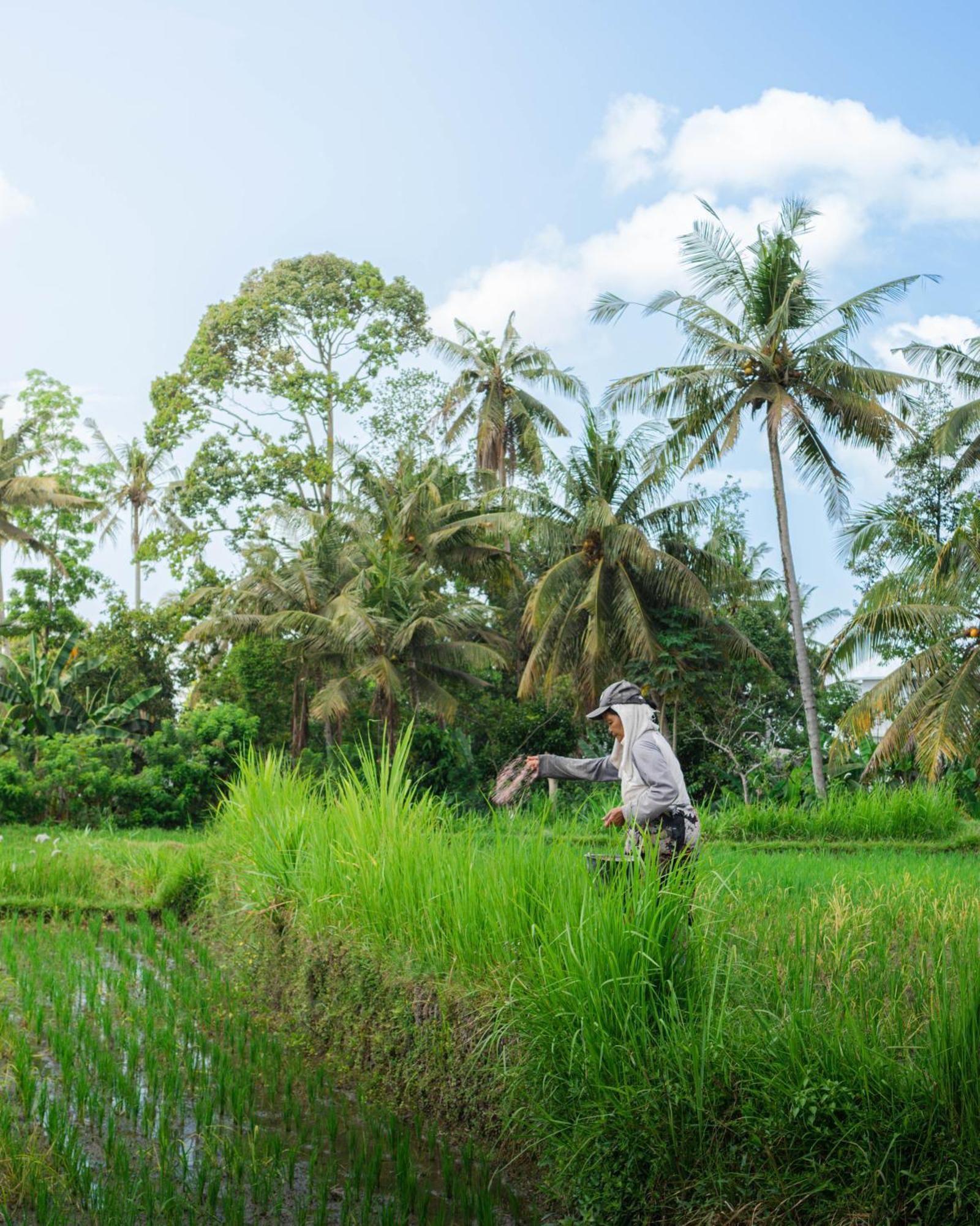 Tannari Villa Ubud Esterno foto